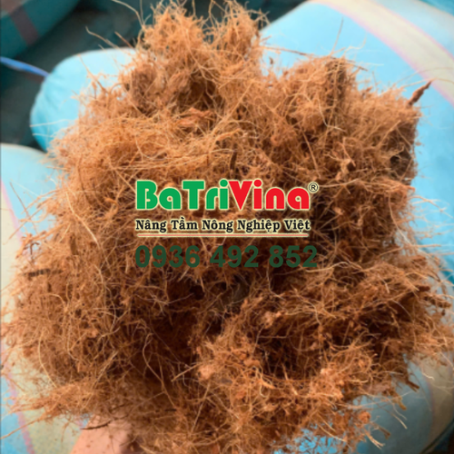 MỤN DỪA THÔ 50% MỤN + 50% XƠ