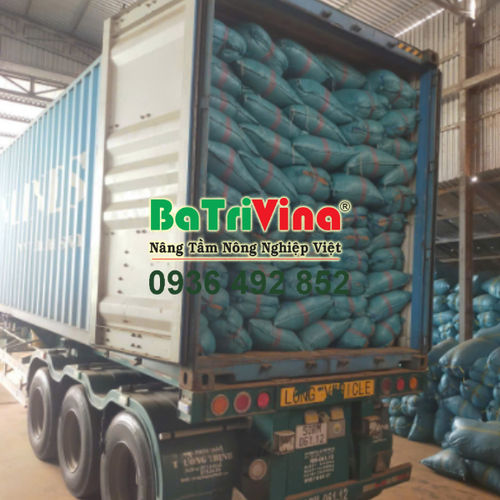 MỤN DỪA THÔ 50% MỤN + 50% XƠ