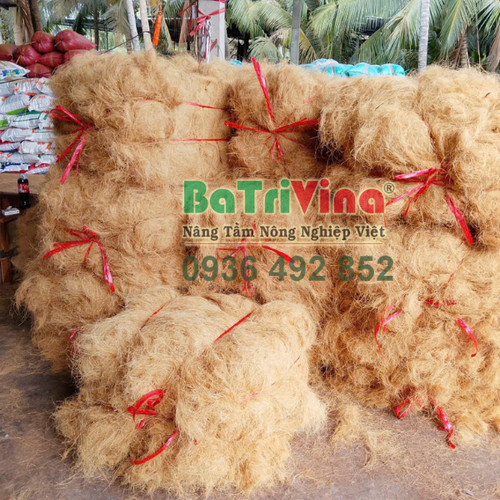 Chỉ Sơ Dừa Sạch