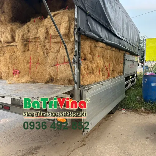 Chỉ Sơ Dừa Sạch