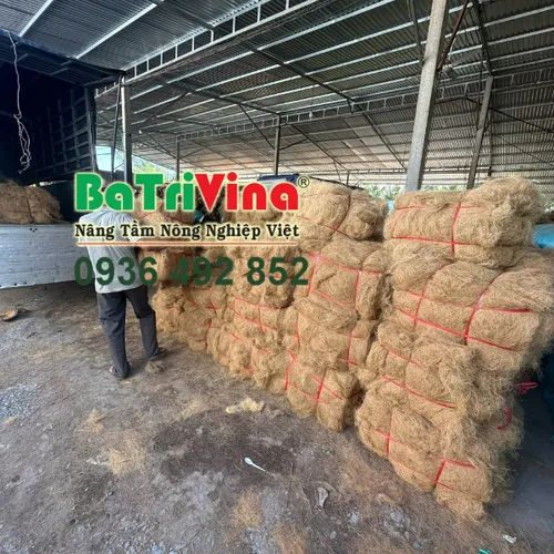 Chỉ Sơ Dừa Sạch