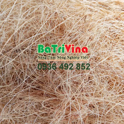 Chỉ Sơ Dừa Sạch