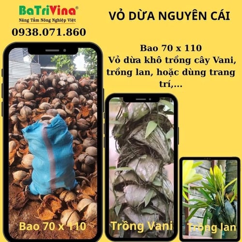 Vỏ Dừa Nguyên Cái