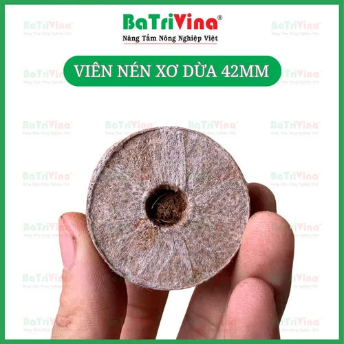 VIÊN NÉN ƯƠM HẠT MỤN DỪA CỠ 42 MM
