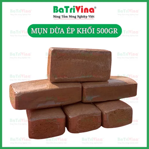 MỤN DỪA ÉP 500 GRAM