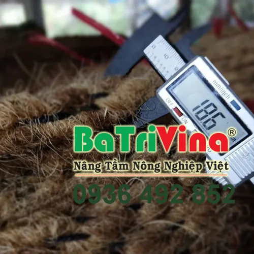 Dây Thừng Xơ Dừa 18ly Có Lõi Nhựa