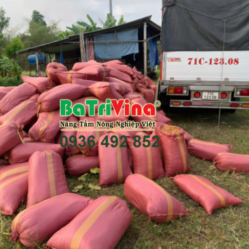 MỤN DỪA THÔ BAO NHỎ 48 x 72 cm