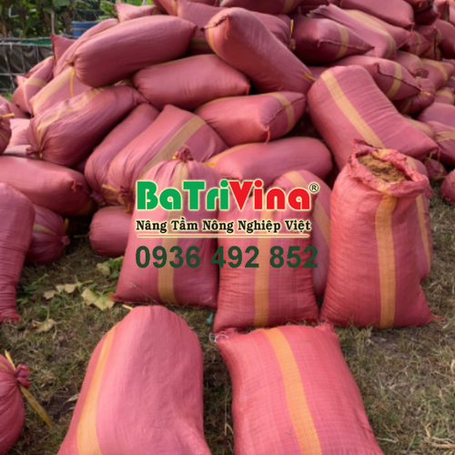 MỤN DỪA THÔ BAO NHỎ 48 x 72 cm
