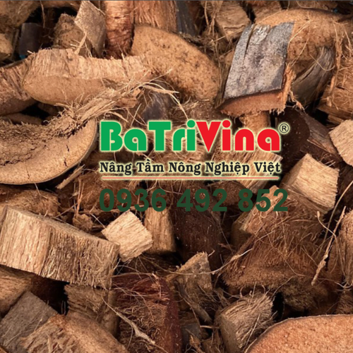 Vỏ Dừa Cắt Miếng