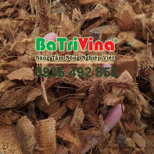 Vỏ Dừa Cắt Miếng