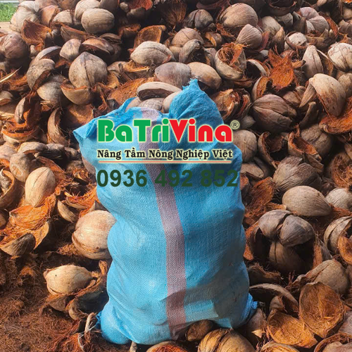 Vỏ Dừa Nguyên Cái