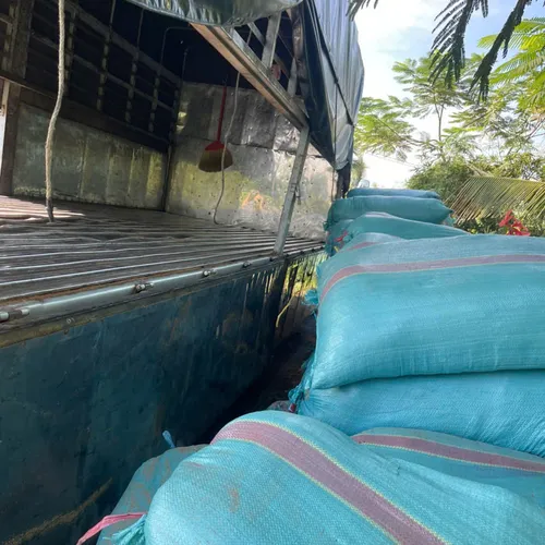 BAO MỤN DỪA XANH THÔ BAO 65X105