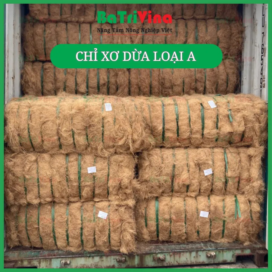 CHỈ DỪA ÉP KIỆN XK