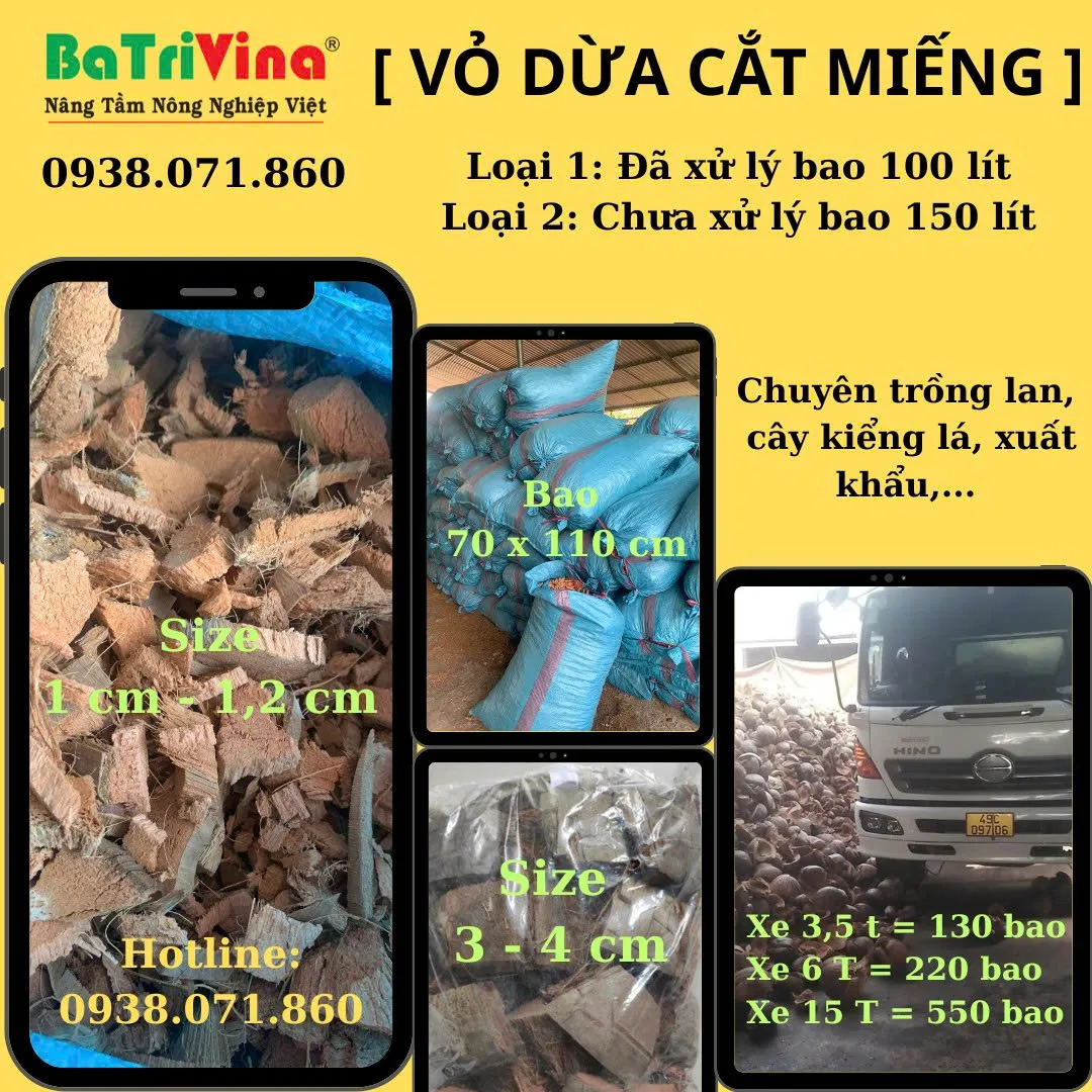 VỎ DỪA CẮT CHÍP