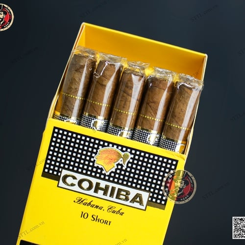 XÌ GÀ COHIBA SHORT 10