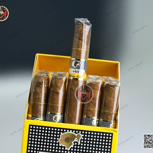 XÌ GÀ COHIBA SHORT 10