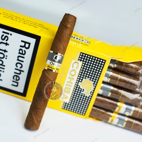 XÌ GÀ COHIBA SHORT 10