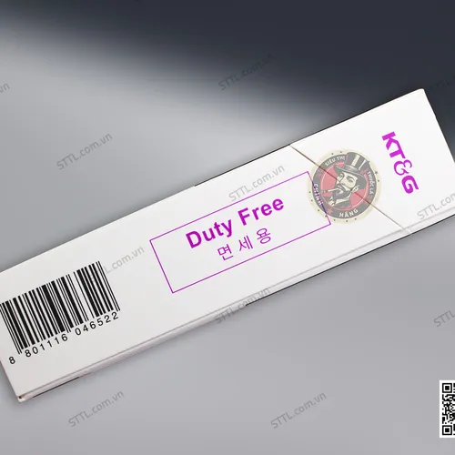 Thuốc lá Raison Ionia Purple (Nho )