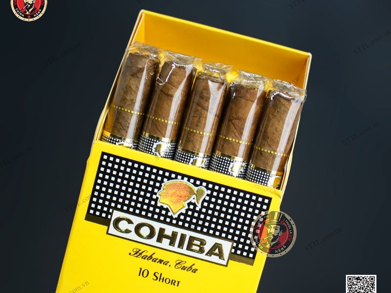 Hướng Dẫn Toàn Diện Về Xì Gà Mini Và Bí Quyết Chọn Mua Cigar Cohiba 10 Điếu Uy Tín