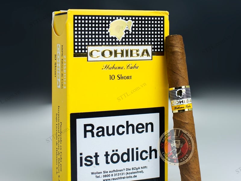 Review Cigar Cohiba 10 Điếu: Tinh Hoa Lá Thuốc Cuba Cho Người Sành Chơi