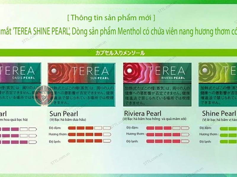 Thuốc lá điện tử Terea IQOS là gì? Khác biệt gì so với thuốc lá thường?