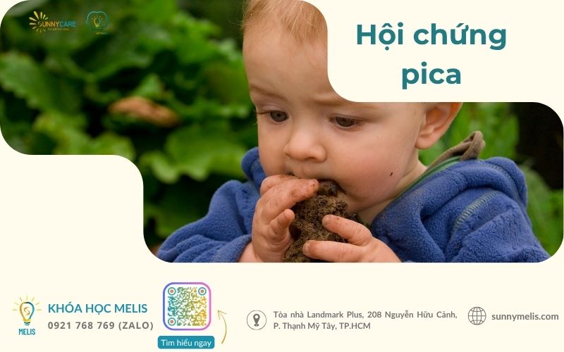 Hội chứng pica