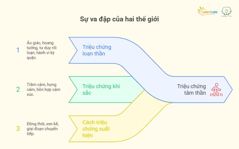 khi hai thế giới va đập trong một cơ thể