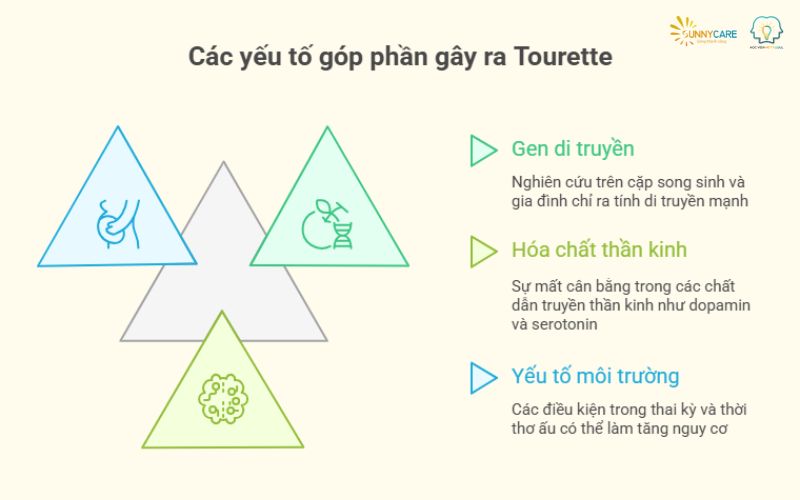 Nguyên nhân tourette