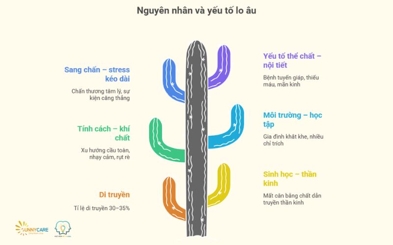 Nguyên nhân và yếu tố