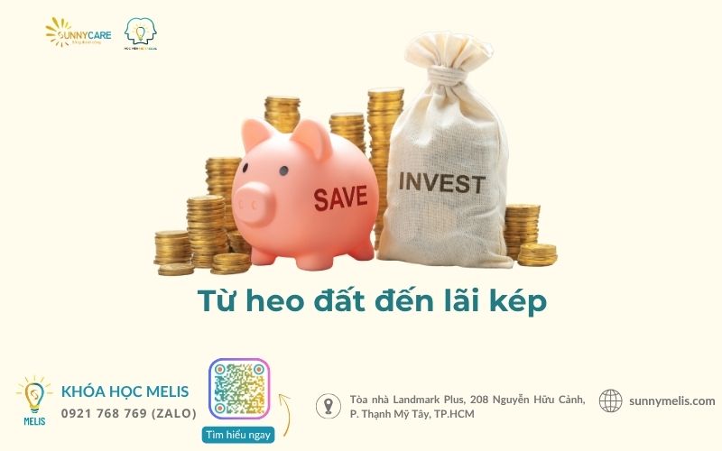 Từ heo đất đến lãi kép