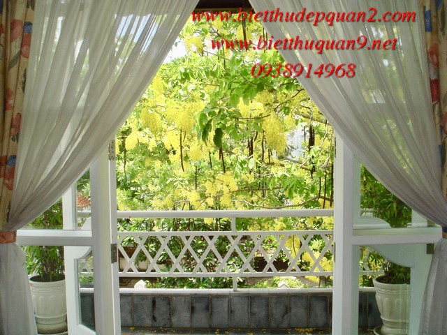 view P Master xuống vườn mùa hoa vàng