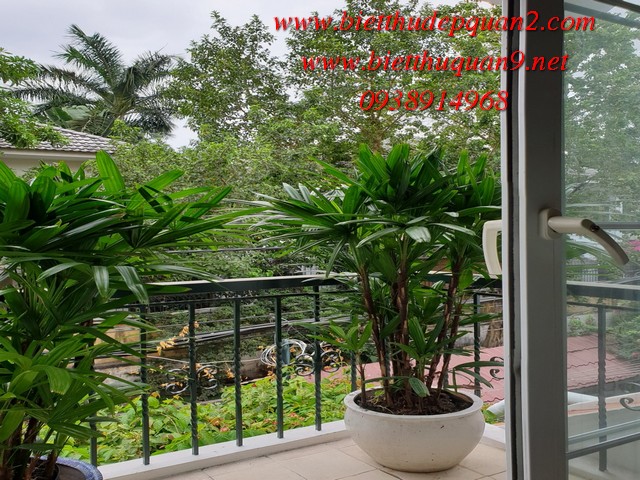 bán biệt thự đường số 1 thảo điền