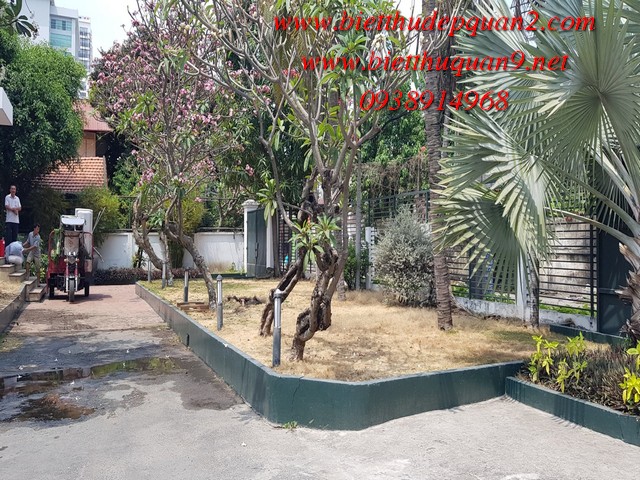 cho thuê nhà thảo điền làm trường học