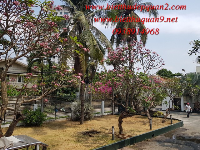 cho thuê nhà thảo điền làm trường học