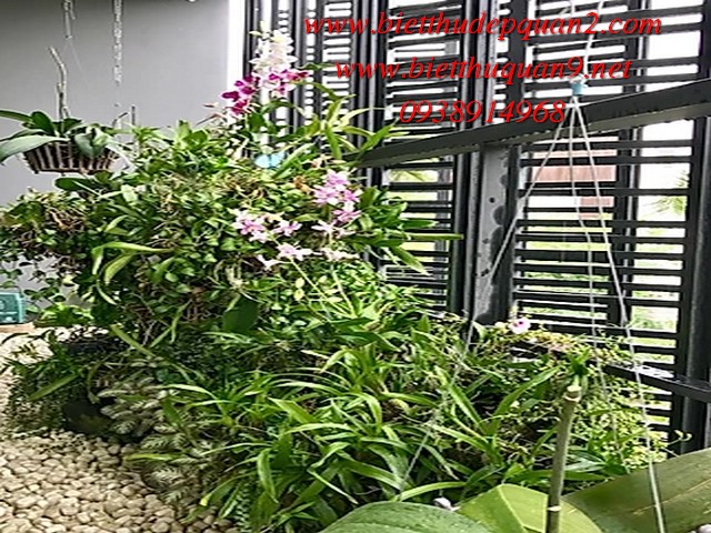 cho thuê biệt thự khu compound eden