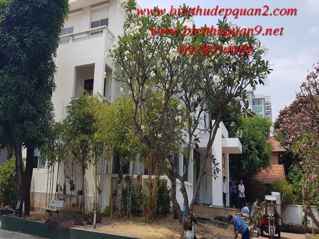 cho thuê nhà thảo điền làm trường học