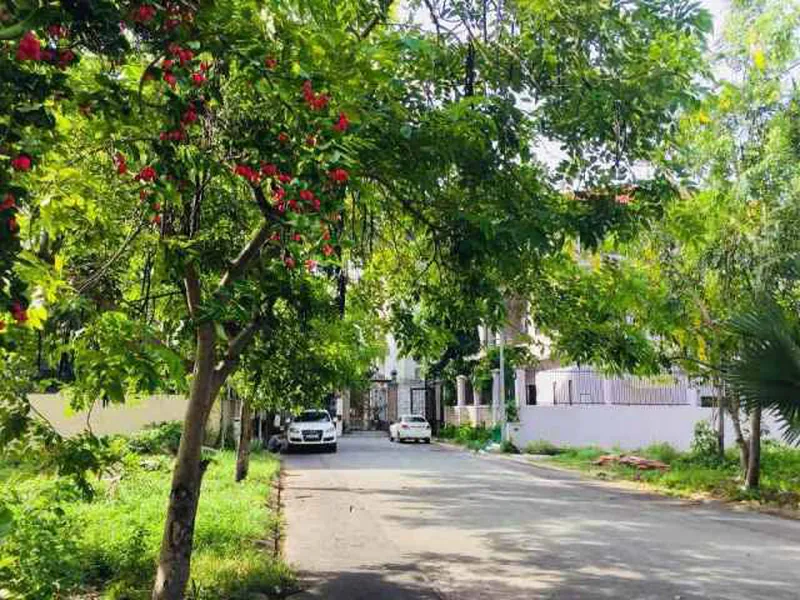 BÁN ĐẤT BẢO TÀNG AO DÀI LONG THUÂN