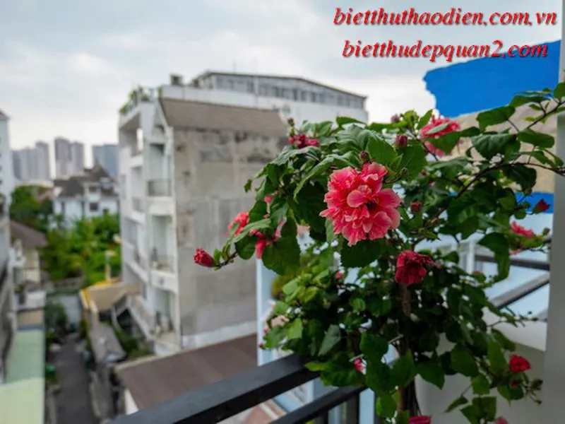 Bán nhà phố phường Thảo Điền