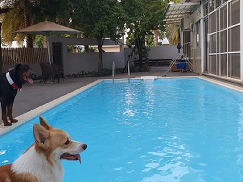 BIỆT THỰ HỒ BƠI SÂN VƯỜN RIVIERA COVE GIÁ TỐT NHẤT