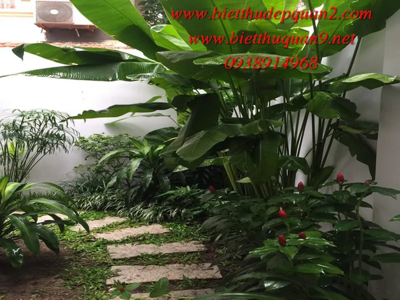 CHO THUÊ BIỆT THỰ THẢO ĐIỀN ĐẸP