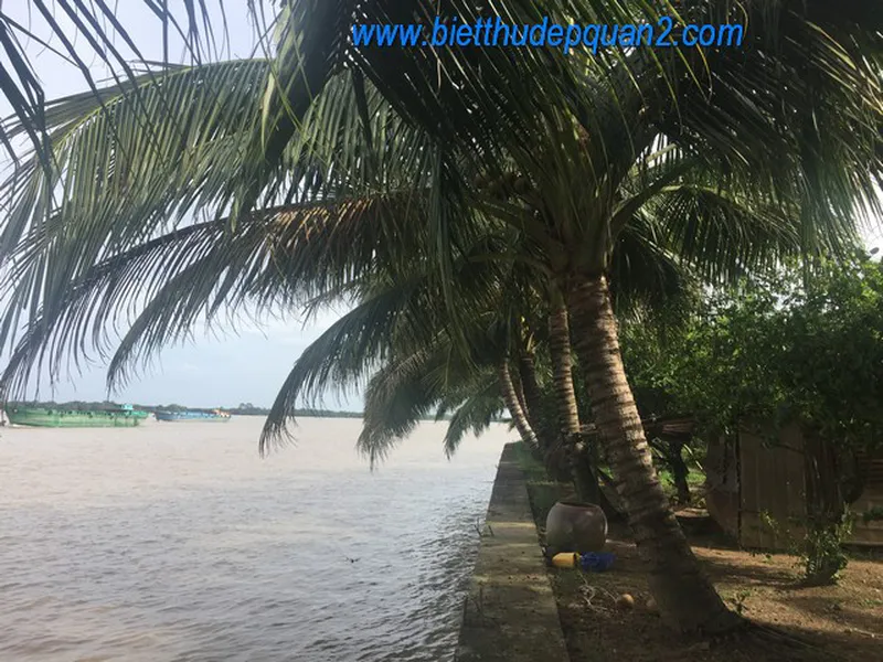 CHO THUẾ ĐẤT THẢO ĐIỀN MẶT TIỀN SÔNG