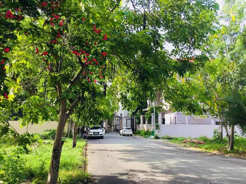 ĐẤT ĐẸP ĐƯỜNG SỐ 1 LÀNG BÁO CHÍ THẢO ĐIỀN