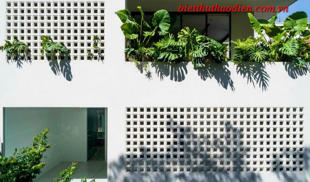 Sân vườn nhiều cây xanh mát tại villa Thảo Điền Sân vườn nhiều cây xanh mát tại villa Thảo Điền