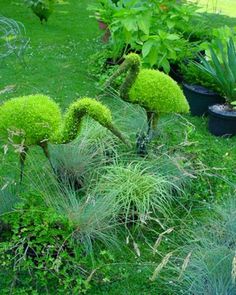 cat co san vuon phu my hung