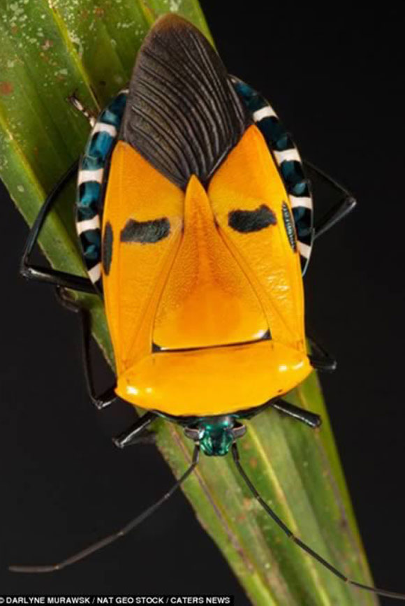 cty môi trường xanh