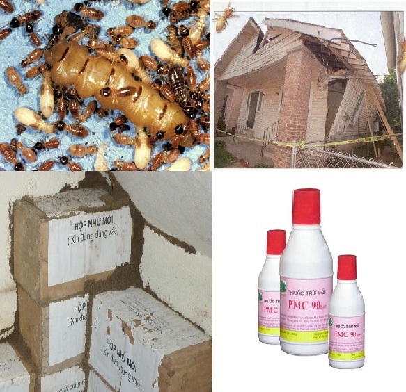 quy trinh diet moi tan goc sinh hoc