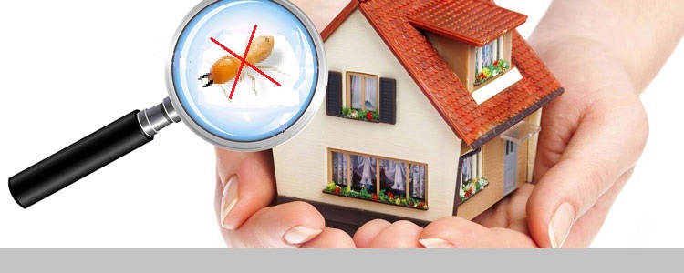 diet moi tai thao dien quan 2