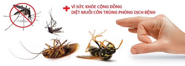 diệt muỗi quận phú nhuận