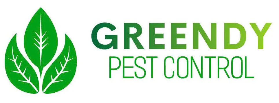 Diệt Mối Và Côn Trùng HCM 