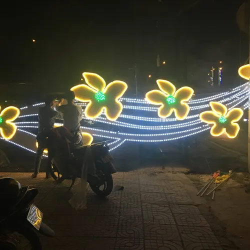 TRANG TRÍ ÁNH SÁNG ĐƯỜNG PHỐ